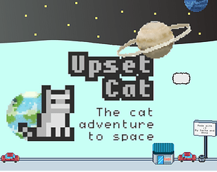 Upset Cat